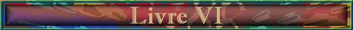 Livre VI