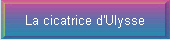 La cicatrice d'Ulysse