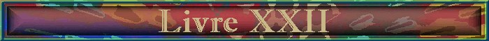 Livre XXII